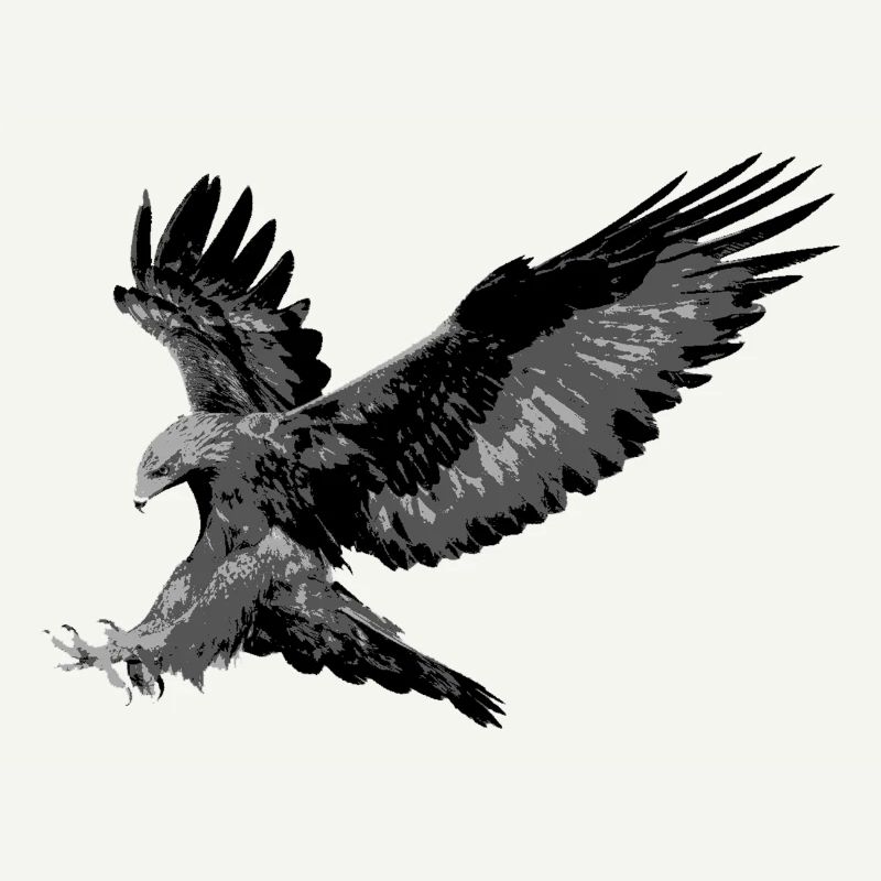Aigle