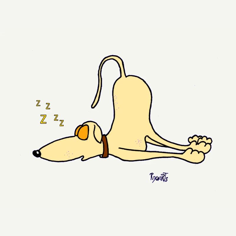 Greyhound - juste dormir