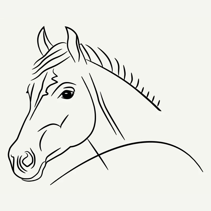 Illustration de tête de cheval