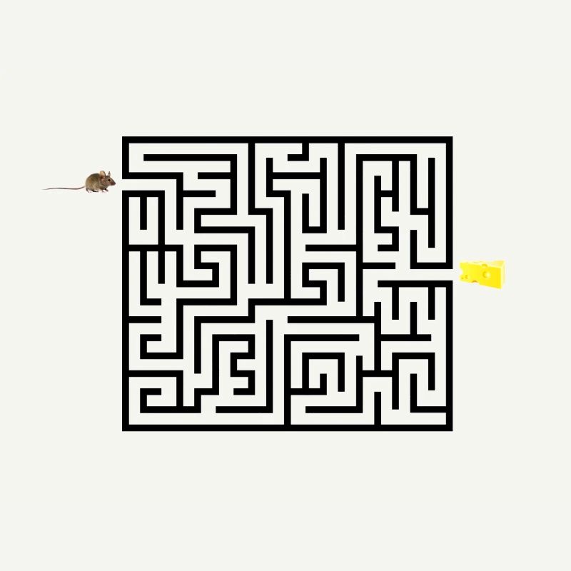 Labyrinth