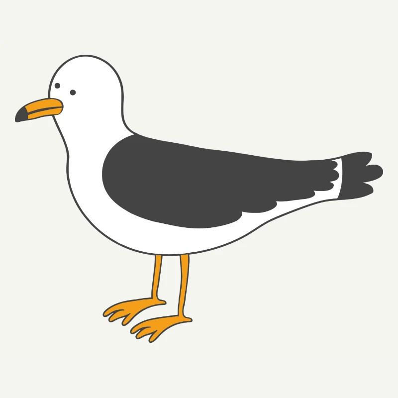 Möwe