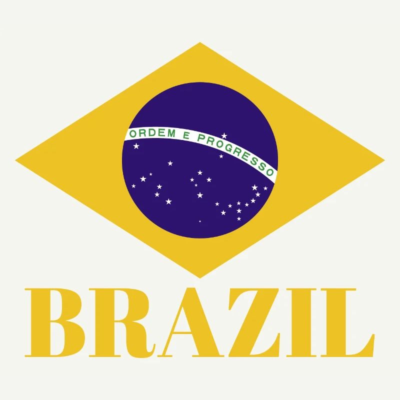 BRÉSIL BRASIL Drapeau Vintage C’est dans mon ADN Brésil