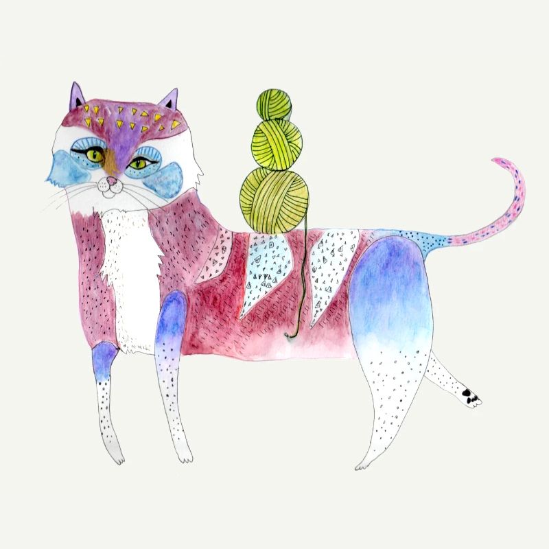 Chat funky