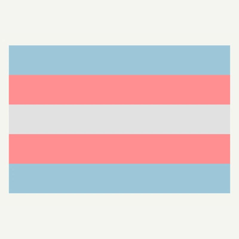 Transgender-Pride-Flag.