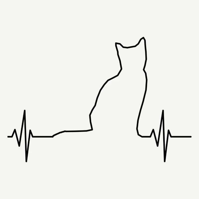 ECG Chat Noir