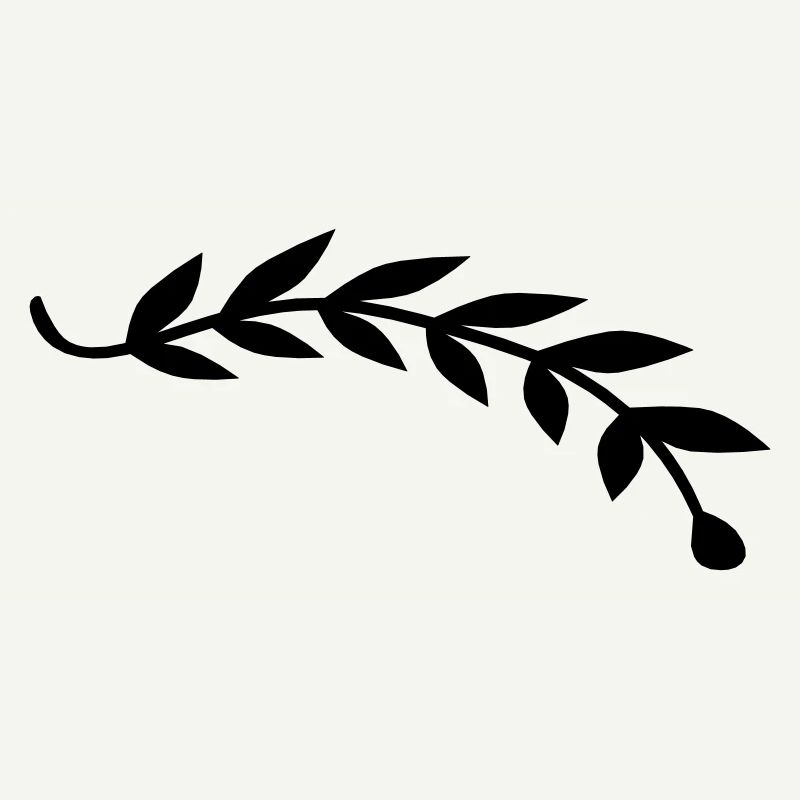 Bay leaf plant branch