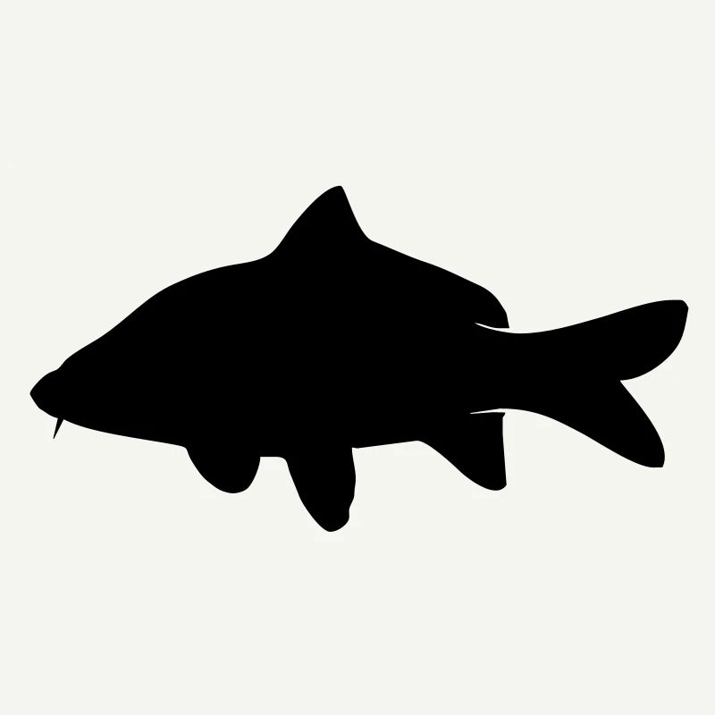 as3_carp