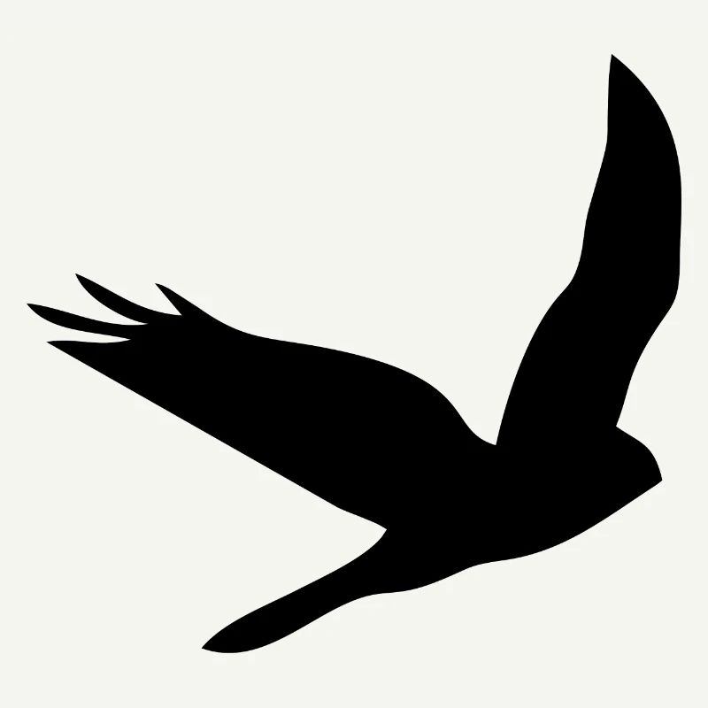 Oiseau Oiseau Oiseau Oiseaux