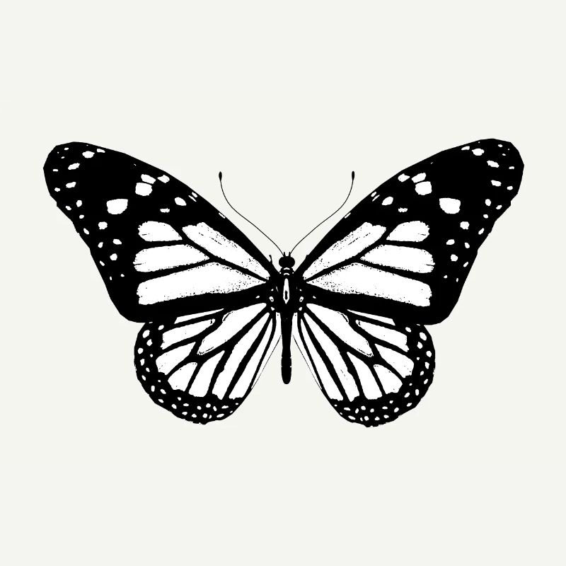 Papillon, papillon, idée cadeau