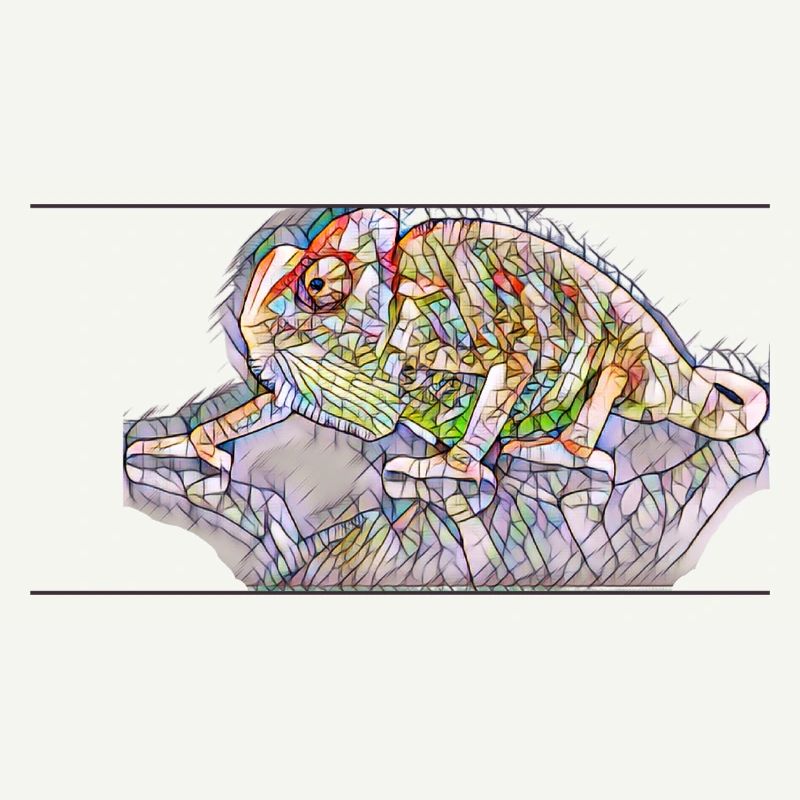 Caméléon - Impression d’art colorée et élégante