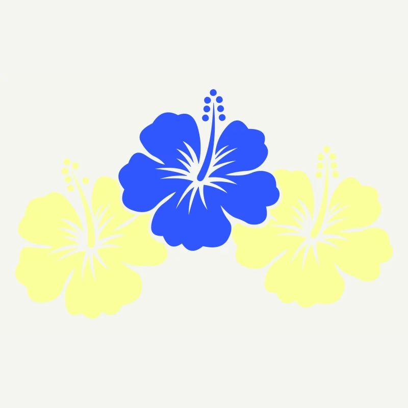 Fleurs d’hibiscus