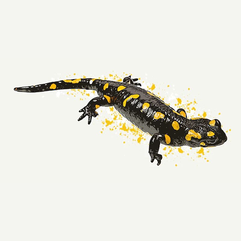 Feuersalamander Salamander