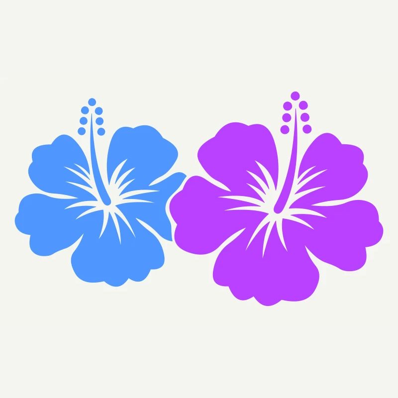 Fleur d’hibiscus