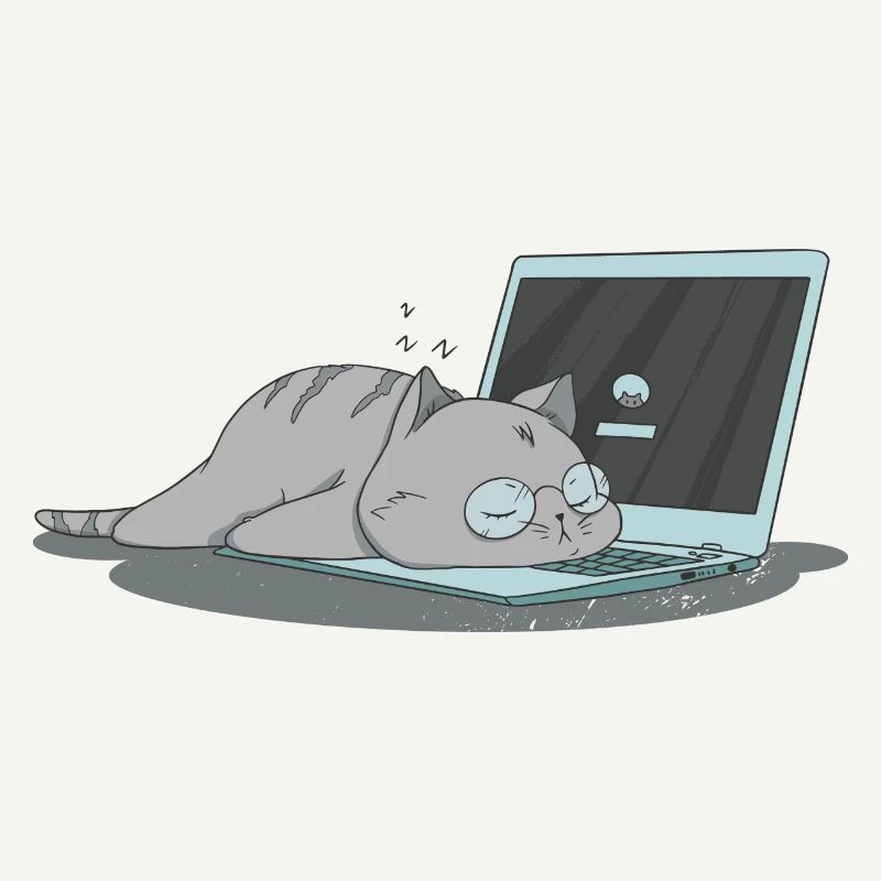 Sleeping cat home office