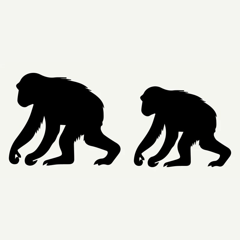 Singes