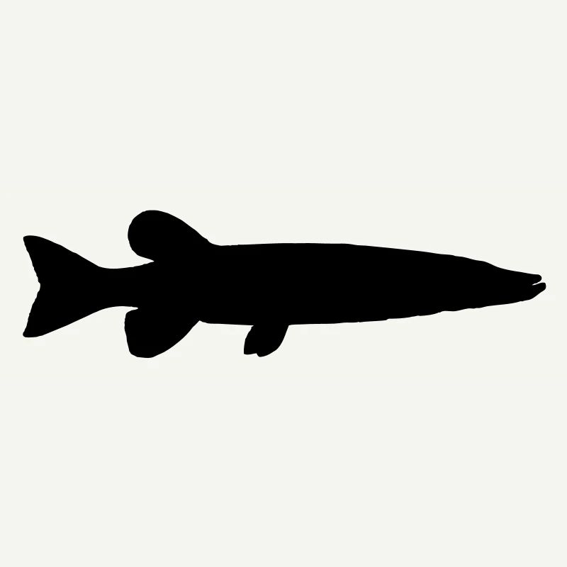 Brochet