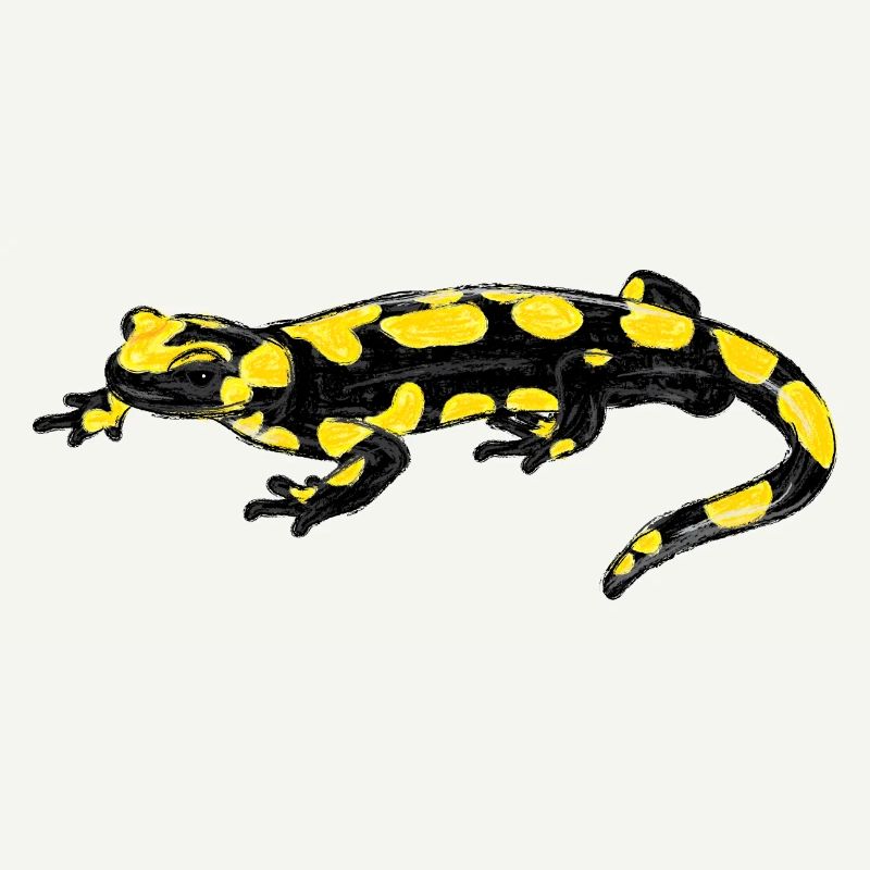 Feuersalamander / Fire Salamander I