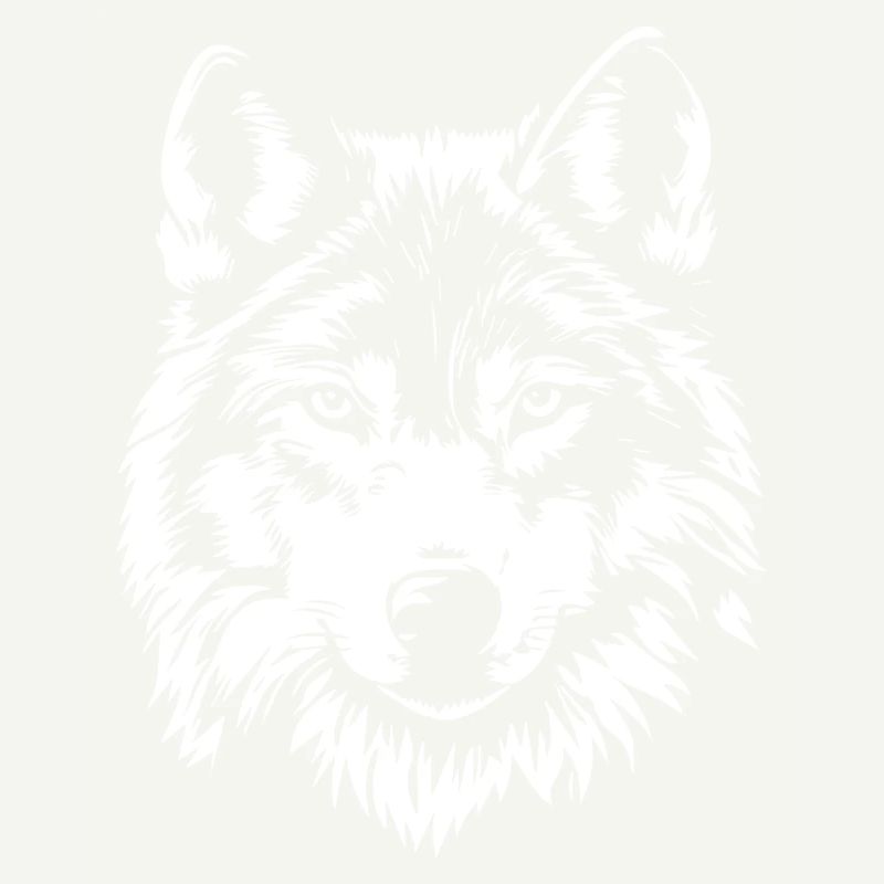 Wolf Gesicht