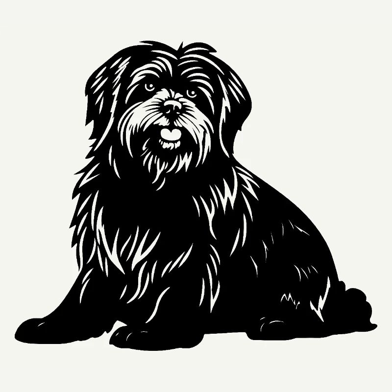 Havanese Dog