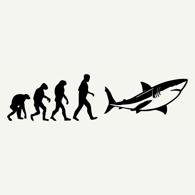 Évolution du requin