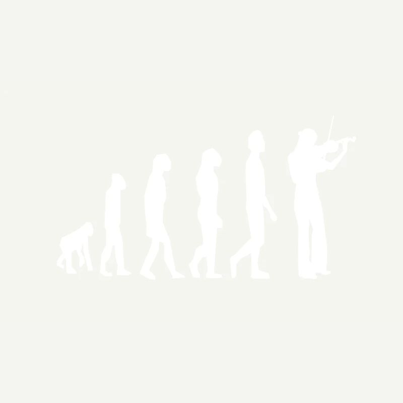 Violin violin violinist violinist evolution