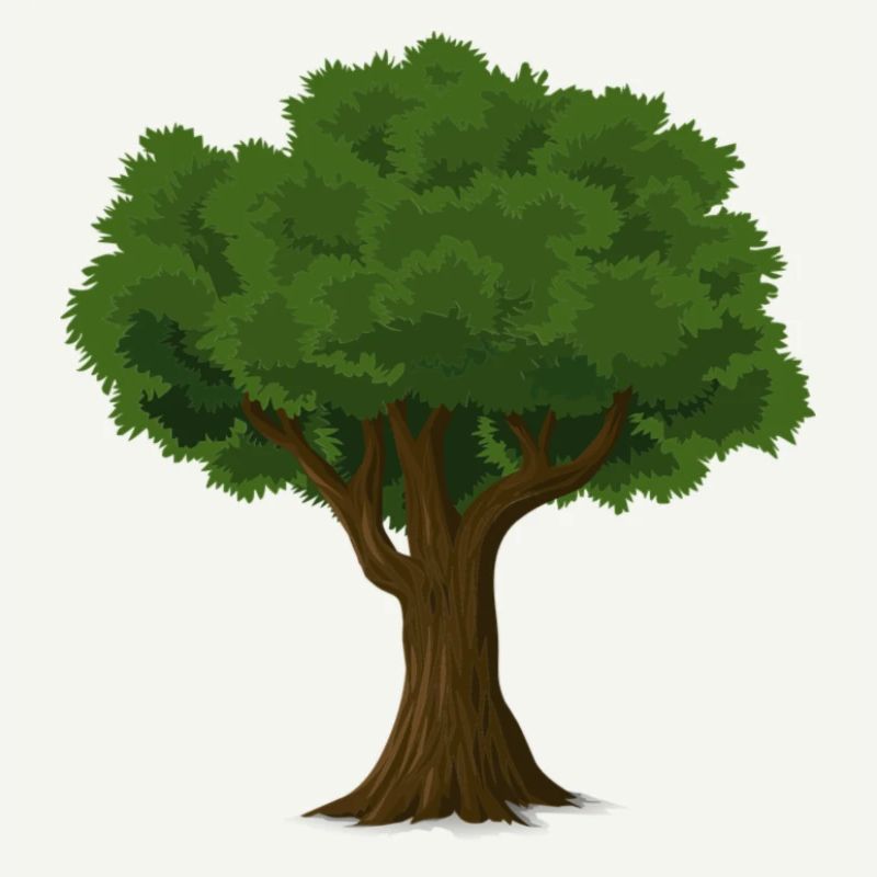 tree