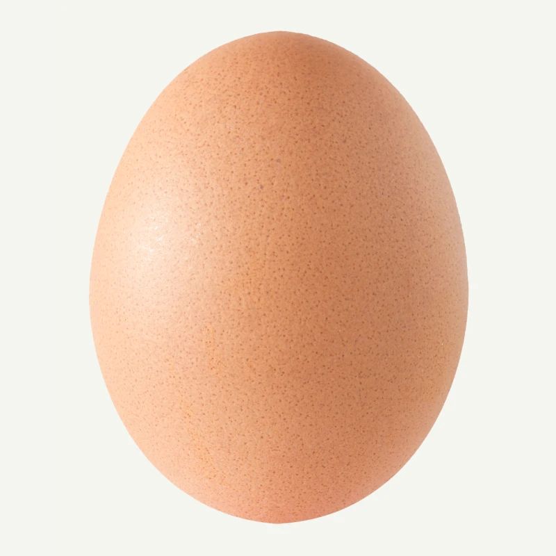 Egg, New Year