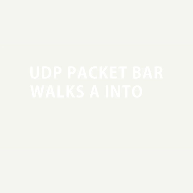 Paquets UDP