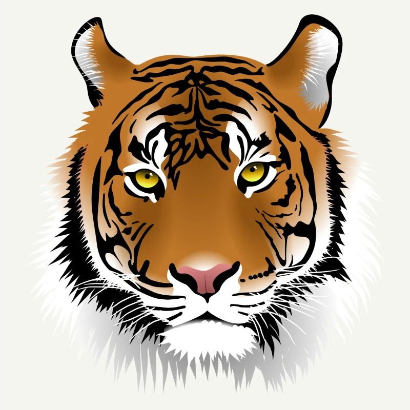 Tigergesicht