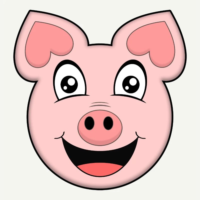 FUNNY PIG