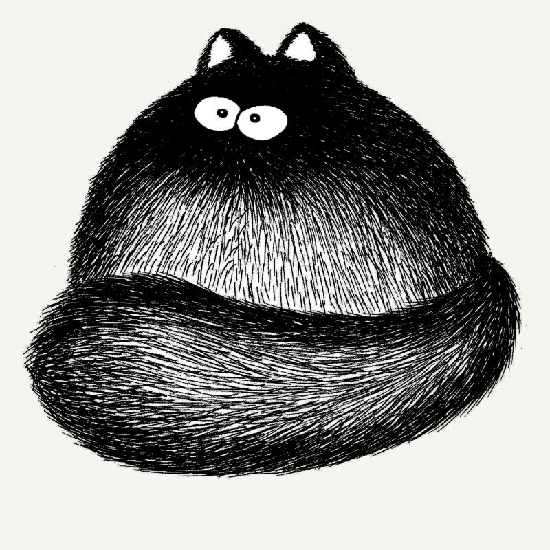 Chat moelleux