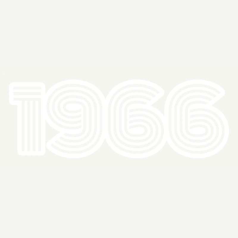 Année de naissance 1966
