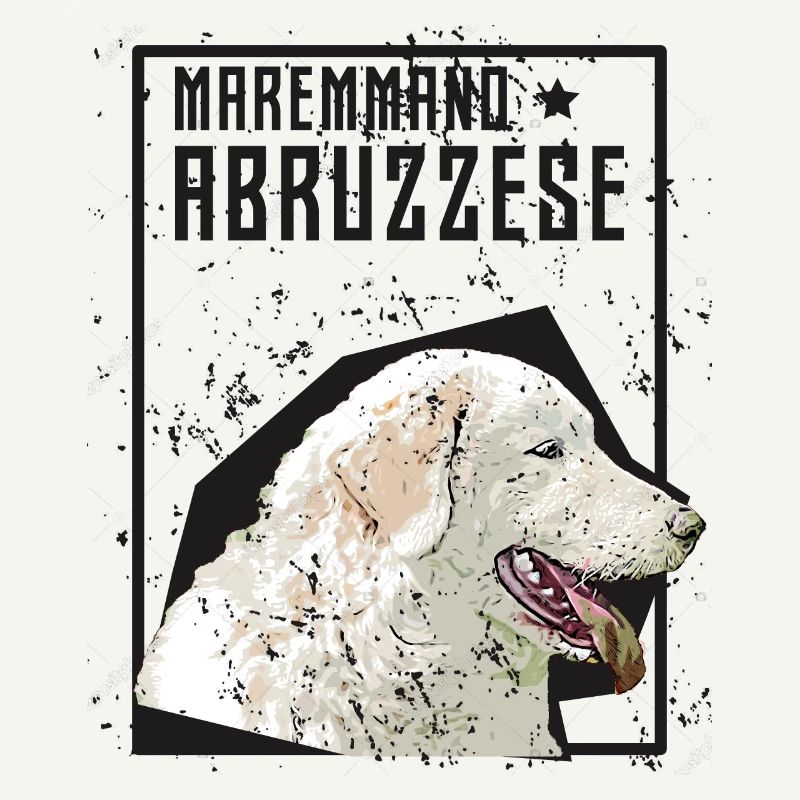 Pastore Maremmano Abruzzese Herd Protection HerdIng Dog