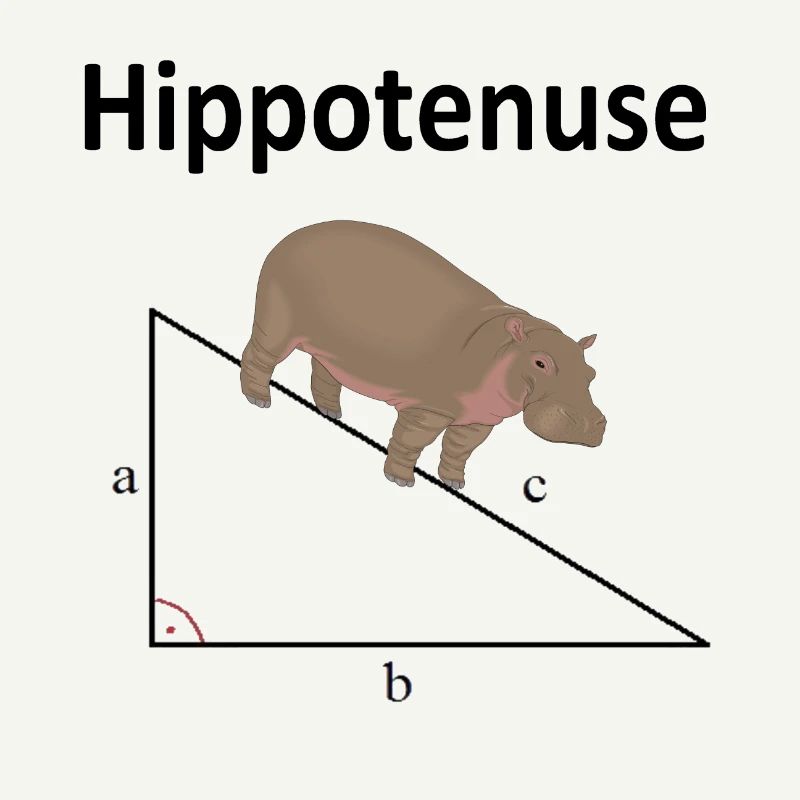 Hippotenuse