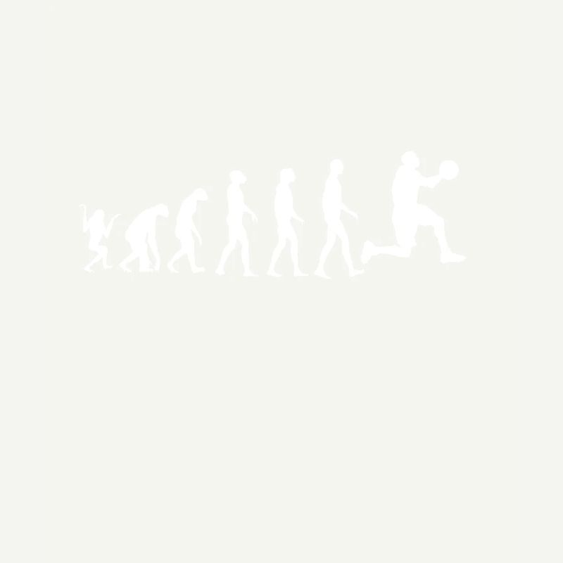 Evolution du basket
