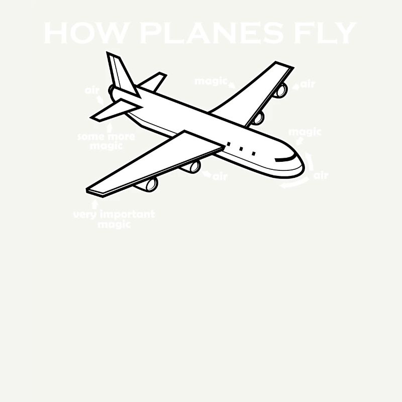 Comment les avions volent