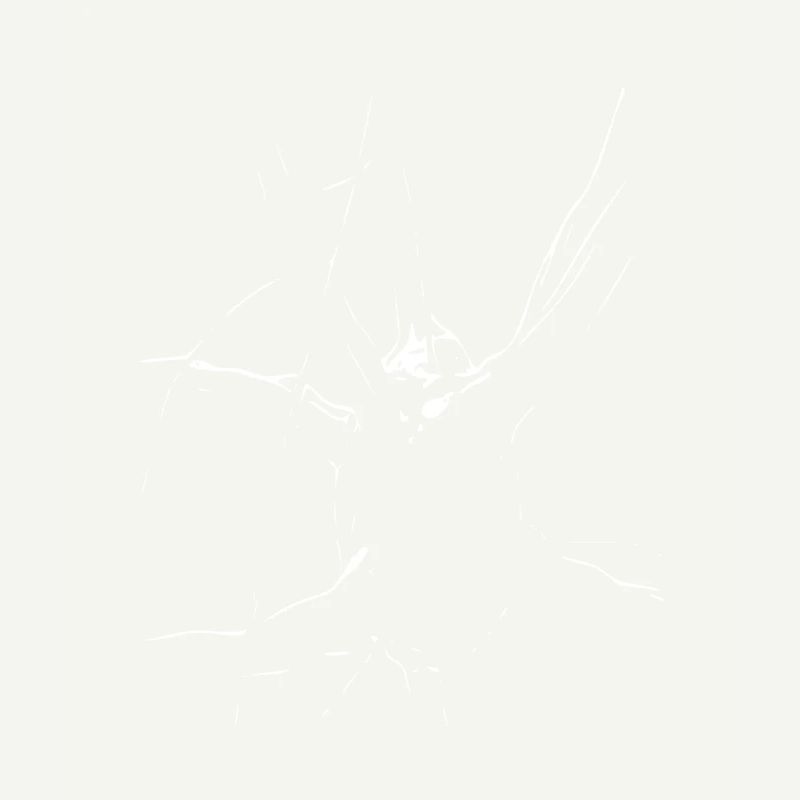 Abstract Design - Line / White / Pattern