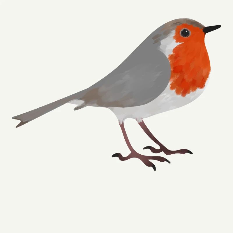 Robin des oiseaux