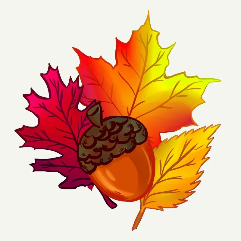 Fall foliage leaves forest acorn