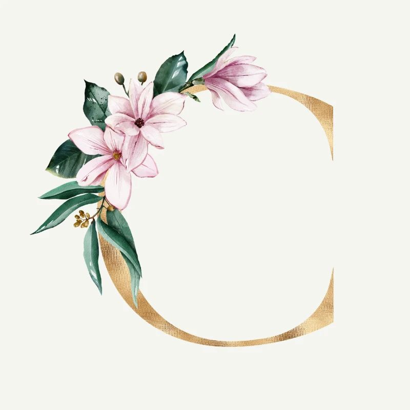 Alphabet C