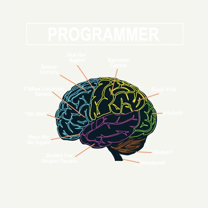 Programmierer