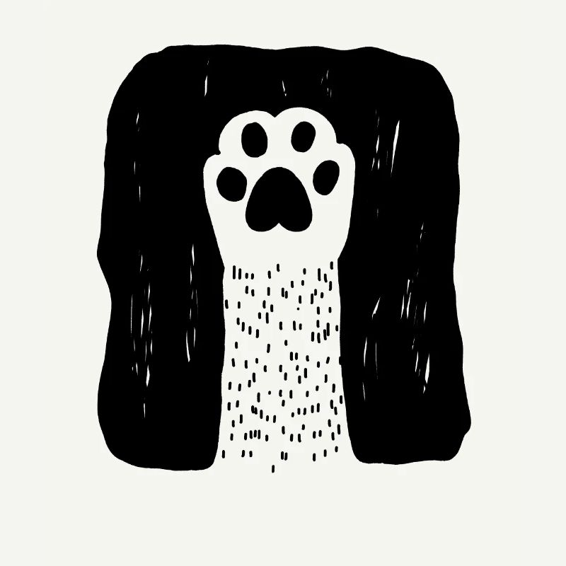 Douce patte de chat
