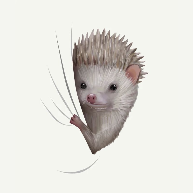 Igel Igelliebhaber Geschenk