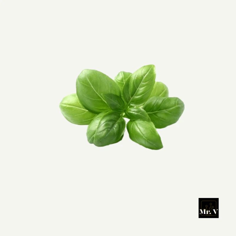 basilic