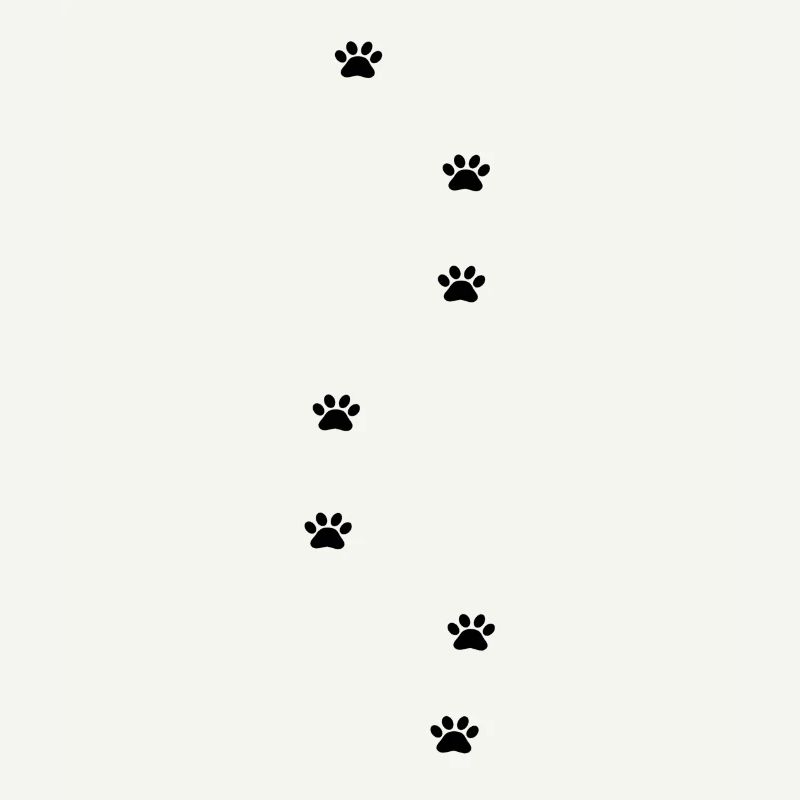 Pattes