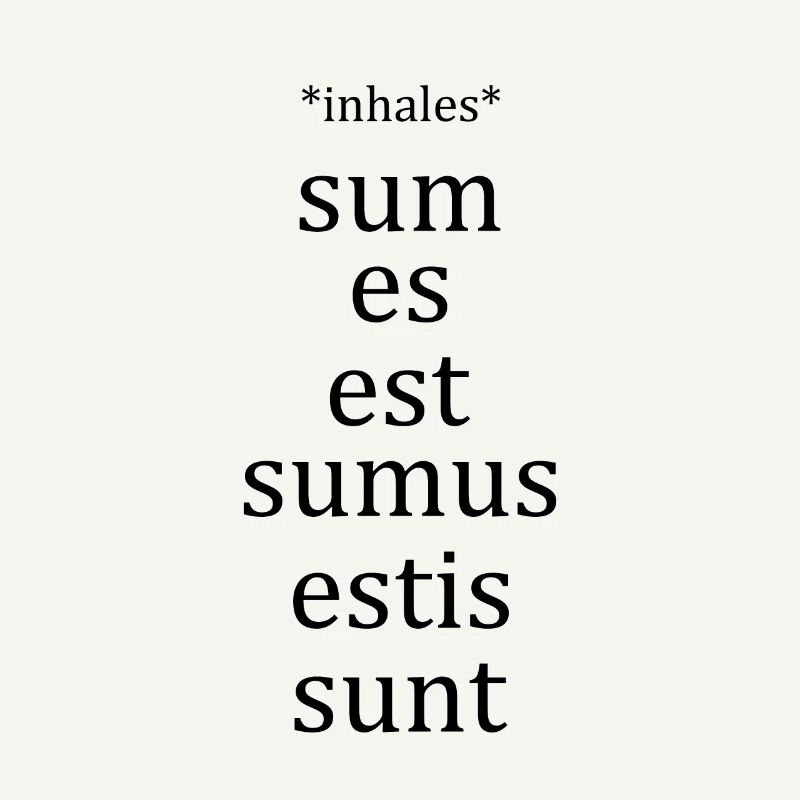 Latin Language Sum Conjugation Student Teacher