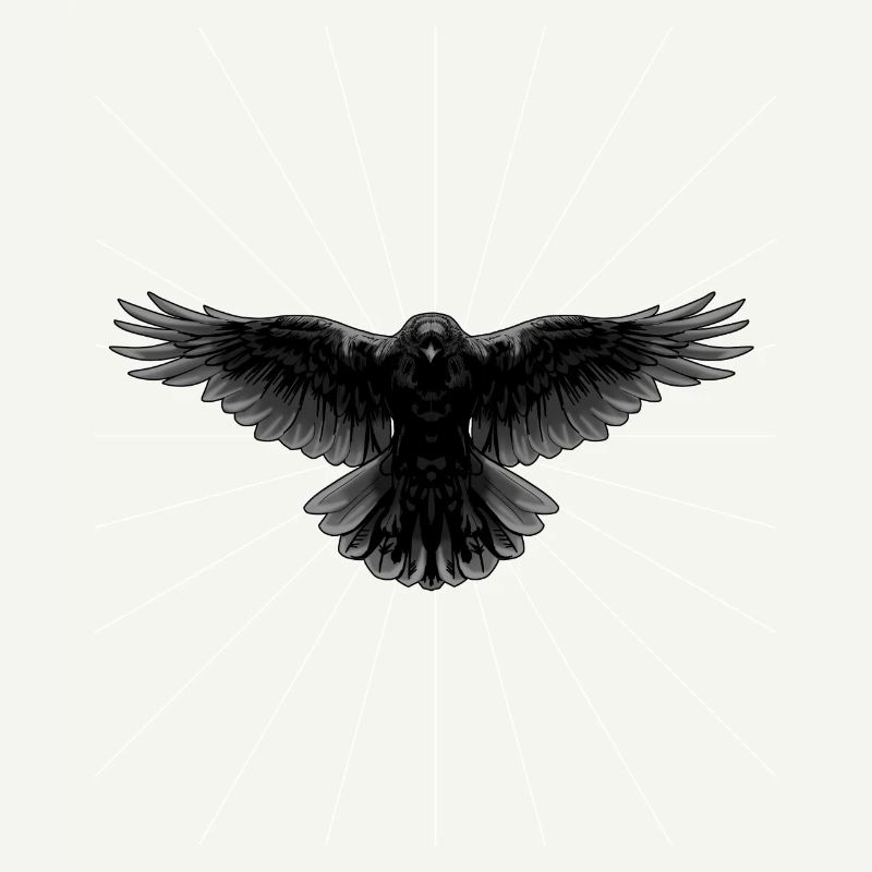 Rayons Corbeau Corbeau Oiseau Oiseau image Dark