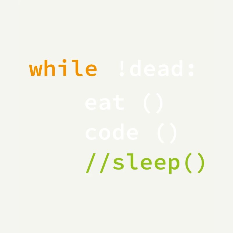Funny Coding Programmer Gift
