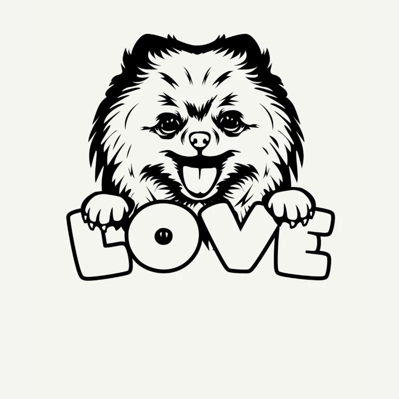 Spitz Pomeranian Zwergspitz Dog
