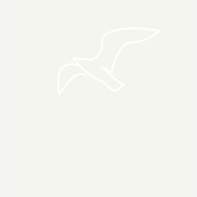 Maritime Seagull